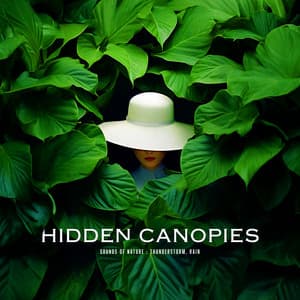 Hidden Canopies - Sounds Of Nature : Thunderstorm, Rain