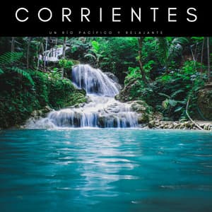 Corrientes: Un Río Pacífico y Relajante - Sonidos De Agua