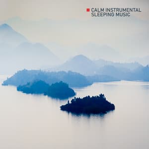 Calm Instrumental Sleeping Music for Deep Sleeping: Sleeping 8 Hours with Relaxing New Age Sounds - Deep Sleep Music Society