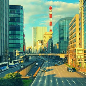 Music - Nights Out - Harlem Jazz Guitar Quartet