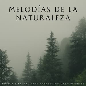 Melodías De La Naturaleza: Música Binaural Para Masajes Reconstituyentes - The Unexplainable Store