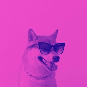 Feelings for Sleek Doggy - Dog Music