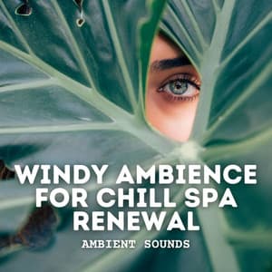 Ambient Sounds: Windy Ambience for Chill Spa Renewal - Nature Soundscape