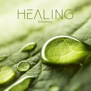 Healing Sounds: Relaxing Music for Spa, Massage Therapy, Yoga Balance Meditation, Mindfulness & Sleep Songs - Reiki Healing Zone