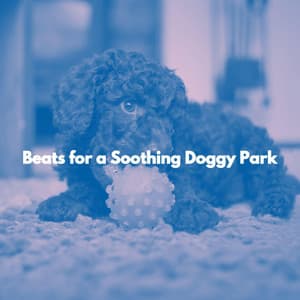 Beats for a Soothing Doggy Park - Reading Jazz Classics