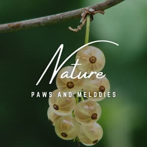 Paws and Melodies: Sonic Journeys for Canine Companions - Doggy Doo-Wop