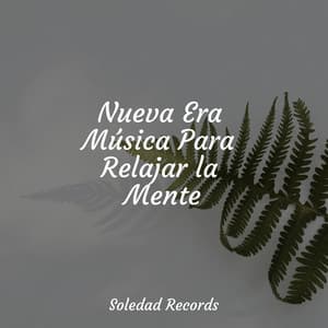 Nueva Era Música Para Relajar la Mente - Relaxamento Sons da Natureza Ruído Branco Musicas Clube