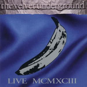 MCMXCIII - The Velvet Underground