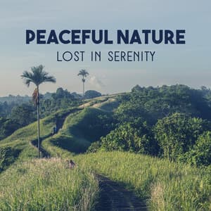 Peaceful Nature: Lost in Serenity – Relaxation Noise of Mother Nature, Explore Your Spiritual Journey, Health & Vitality, Lift Your Meditation Mood - Harmony Nature Sounds Academy
