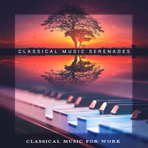 Classical Music Serenades - Classical Music For Work
