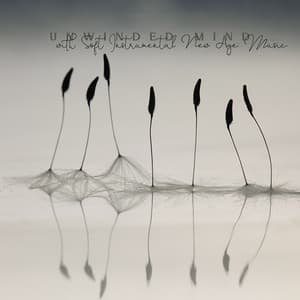 Unwinded Mind with Soft Instrumental New Age Music . Deep Rest, Bedtime Relaxation, Sleep & Nap, Work & Study Break - Sweet Musical Escape