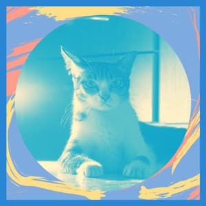 Music for Calming for Kitten - Calming Music for Cats