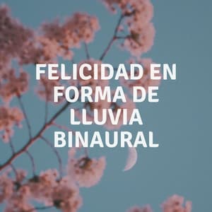Felicidad En Forma De Lluvia Binaural - Grabaciones binaurales ritmos