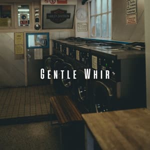 Gentle Whir: Dryer ASMR for Calm and Serenity - Clothes Dryers in the Background
