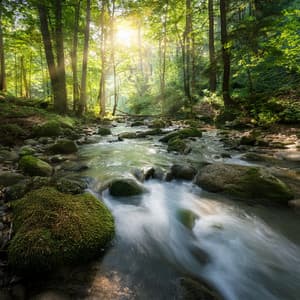 Orchestra Of Calm Waters: Symphonic Soundscapes For Relaxation And Balance - Lee Rosangela