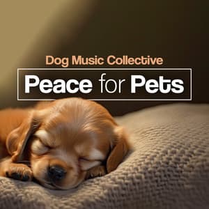 Peace for Pets - Dog Music Collective