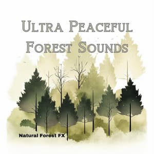 Ultra Peaceful Forest Sounds - Natural Forest FX