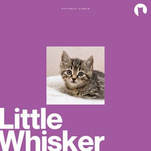 Little Whisker - Reiki for Animals