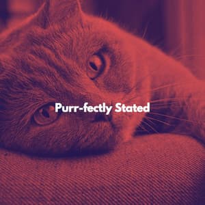 Purr-fectly Stated - Sleepy Cats