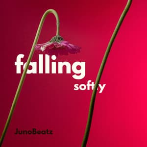 Falling Softly: Pink Haze, Heavy Heart - JunoBeatz