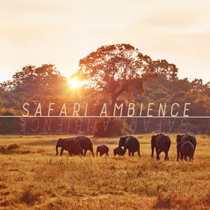 Safari Ambience: African Sounds, Tribal Drums, Safari Nature Sounds - African Wild World