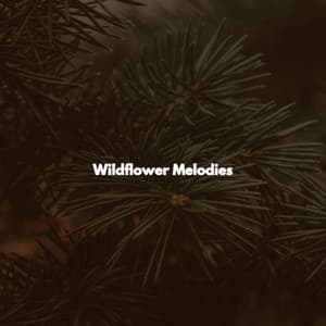 Wildflower Melodies - French Cafe Jazz Trio