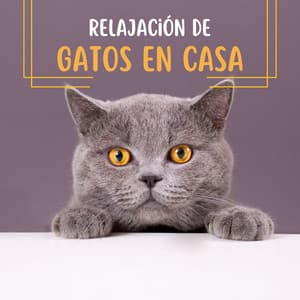 Relajación de Gatos en Casa: Sonidos Reconfortantes para la Ansiedad Felina - Musicoterapia Animales Academy