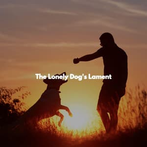 The Lonely Dog's Lament - Jazz for Work Beats