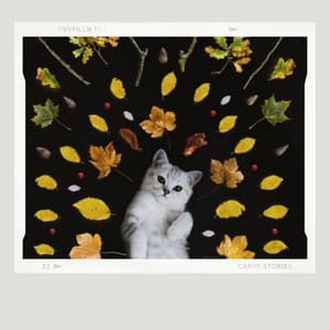 Astounding Jazz Trio - Background for Cute Cats - Cat Music Studio