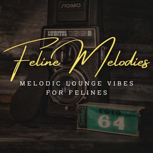 Feline Melodies: Coffee Lounge Jazz for Curious Cats - Joyce Trio