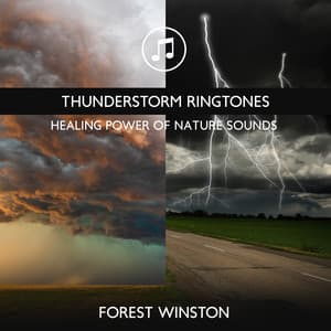 Thunderstorm Ringtones - Healing Power of Nature Sounds for Sleep and Relaxation, Storm Music - Forest Winston