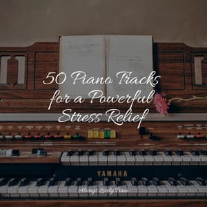 50 Soothing Piano Compilation for Stress Relief - Classical Piano Music Masters
