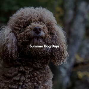 Summer Dog Days - Coffeehouse Jazz