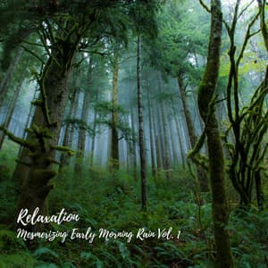 Relaxation: Mesmerizing Early Morning Rain Vol. 1 - Sounds of Nature Noise