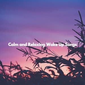 Calm and Relaxing Wake Up Songs - Jazz Rilassante Collezioni