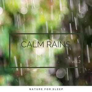 Calm Rains vol. 2 - Summer Showers