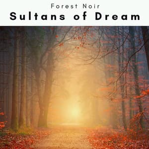 1 0 0 1 Sultans of Dream - Forest Noir