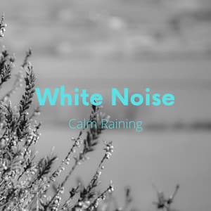 White Noises Calm Raining - White Noise Playlist