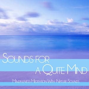 Sounds for a Quite Mind: Mindfulness Meditation With Nature Sounds - Meditation Music Academy