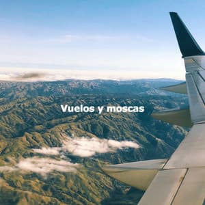 Vuelos y moscas - Jazz Trio