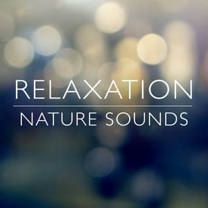 Relaxation Nature Sounds - Nature Sounds Relaxing