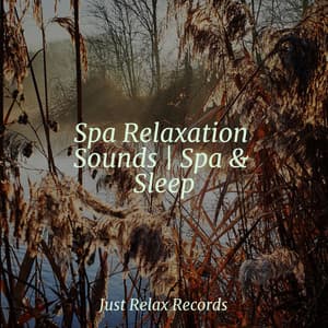 Spa Relaxation Sounds | Spa & Sleep - Música Relajante para Bebés