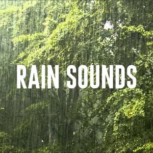 Rain Sounds - Sleep Rain