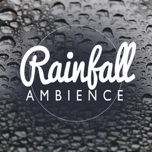 Rainfall Ambience - Ambient Rain