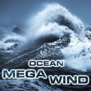 Ocean Mega Wind - Nature Sounds FX