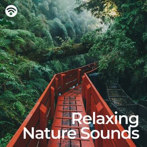 Relaxing Nature Sounds: Harmonic Serenity with Nature's Sounds - Nature