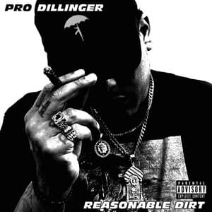 Reasonable Dirt - Pro Dillinger