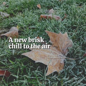 A New Brisk Chill to the Air - The Nature Soundscapes