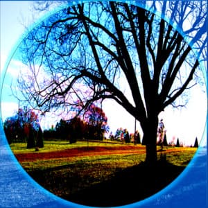 Soothing Background Ambiance - Brown Noise Echoes