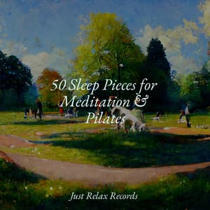 50 Sleep Pieces for Meditation & Pilates - Rising Higher Meditation